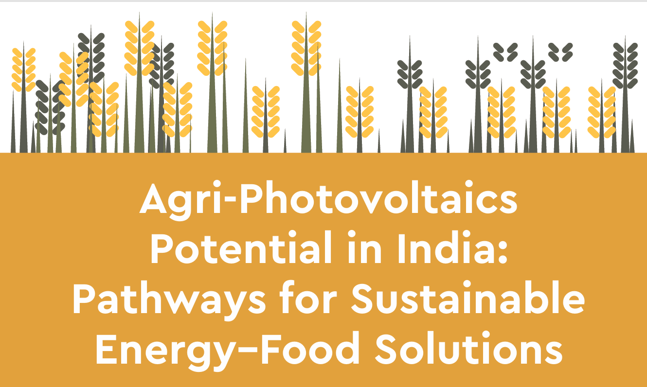 Agri-PV Potential in India