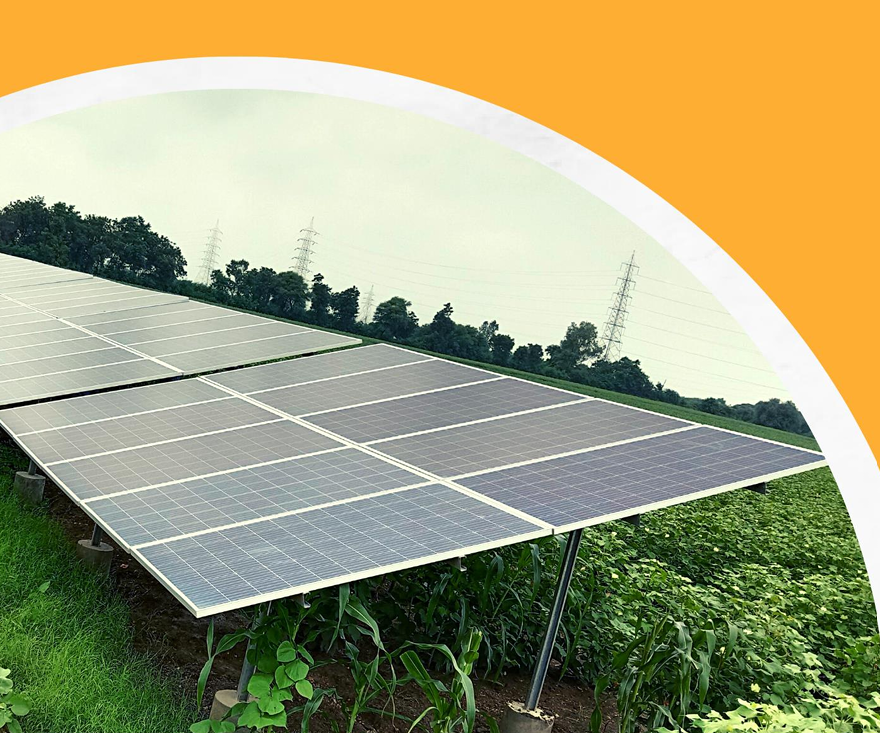 Exploring Business Models for Agrivoltaics in India