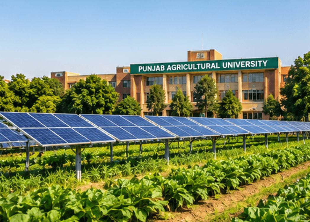 DPR for Punjab Agricultural University (PAU), Ludhiana